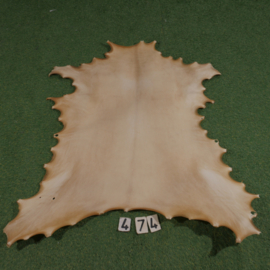 Reindeer parchment (0.92 m²)