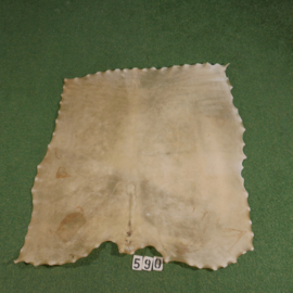 Veal parchment (1.32 m²)