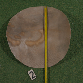 Perkament van paard (50 cm)