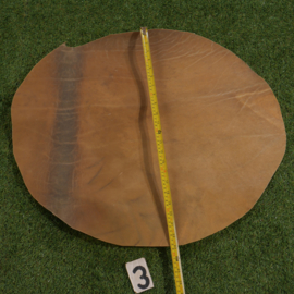 Bizon perkament (58 cm)