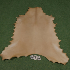 Reindeer parchment (0.98 m²)