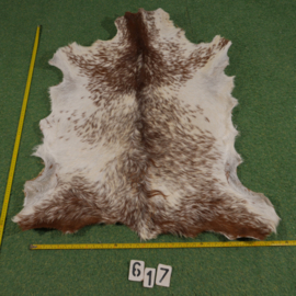 Perkament van geit met haar (ongeveer 1,10 m²)