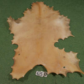 Red deer parchment (1.27 m²)