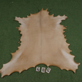 Reindeer parchment (0,86 m²)
