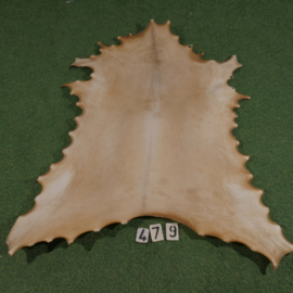 Reindeer parchment (1.02 m²)