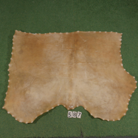 Veal parchment (1.76 m²)