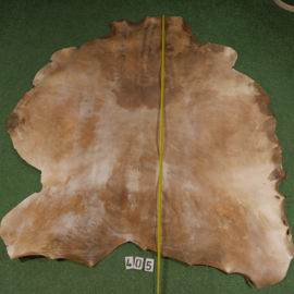 Horse parchment (4.62 m²)