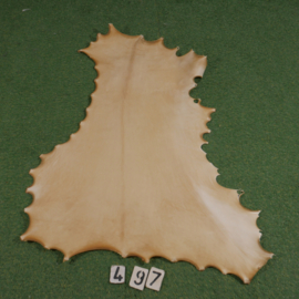 Reindeer parchment (0.78 m²)