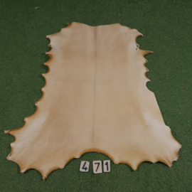 Reindeer parchment (1,04 m²)