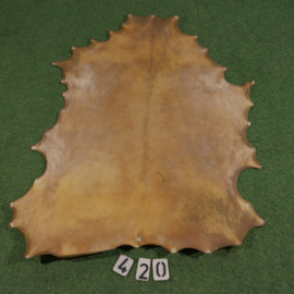 Perkament van damhert (0.76 m²)