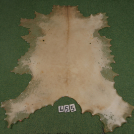 Red deer parchment (1,16 m²)