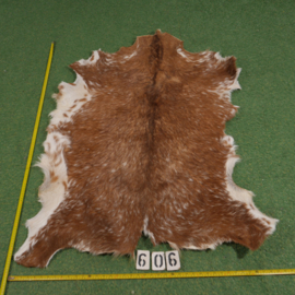 Perkament van geit met haar (ongeveer 1,10 m²)