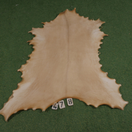 Reindeer parchment (1,04 m²)