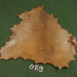 Perkament van damhert (0.82 m²)
