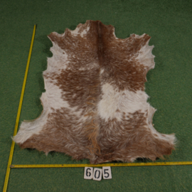 Perkament van geit met haar (ongeveer 1,10 m²)