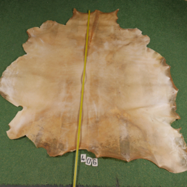 Horse parchment (3.98 m²)