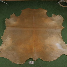Scottish Highlander parchment (4.59 m²)