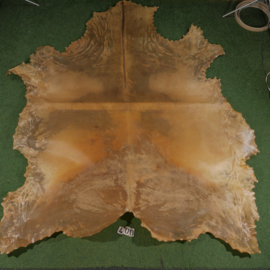 Horse parchment (4.64 m²)