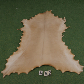 Reindeer parchment (1,05 m²)