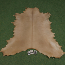 Reindeer parchment (1.03 m²)