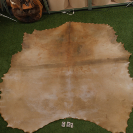 Perkament van bizon (3.82 m²)