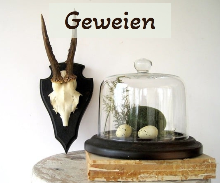 klik door naar geweien