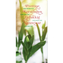 25 Kerstkaarten | Tulpen in de sneeuw, internationale kerstwensen