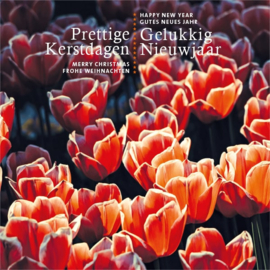 10 Kerstkaarten |  Bloemenpracht oranje Tulpen