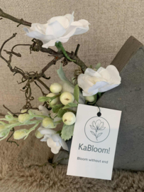 Driehoeken vaas met beige distel en witte bloemen