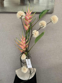 Waaiervormige creme vaas met roze heliconia en creme pompons