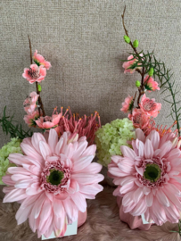 Roze cactusvaasje met roze en groene tinten
