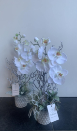 Bloemstuk met witte orchidee