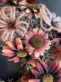 Roze houten krans met mauve chrysantjes, roestbruine bolsters en roze clematis