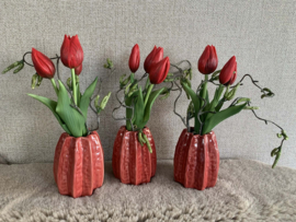 Rood vaasje met tulpen en krulwilg