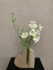 Houten hartje met buisje gevuld met gele mini orchidee en fijn groen