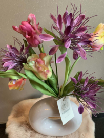 Vaas met papegaaitulpen mauve/roze