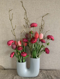 Buisvaas met fuchsia tulpen en ranonkels