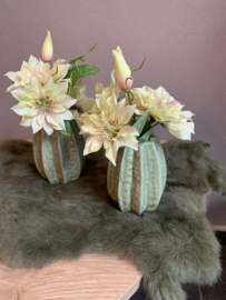 Groene vaasjes met clematis