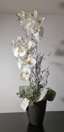 Vaas met winterse takken en witte orchideeen