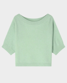 Soft trui mint black rose Antwerp / uitverkocht