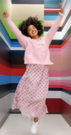 Flok skirt / uitverkocht