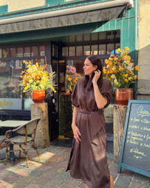Rita fall dress chocolate / uitverkocht