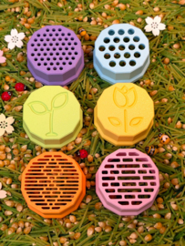 Zeefjesset spring van X-Creator