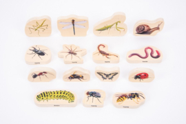 Tickit - Houten Insecten