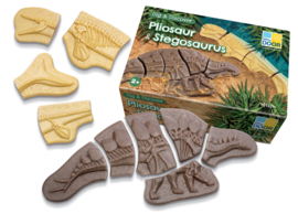Dig & Discover Pliosaurus en Stegosaurus