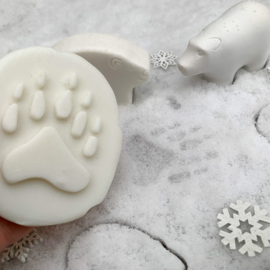 Let’s Investigate – Polar pootafdrukken