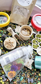thema pakket insecten