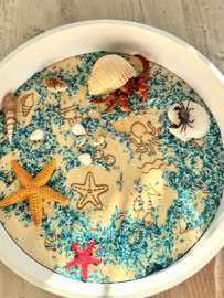 PlayPlate Oceaan