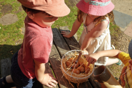 Eggs – Play Stones