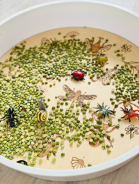 PlayPlate Insecten